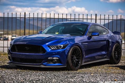 blue mustang with decal